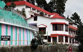 Blue Pine Resort